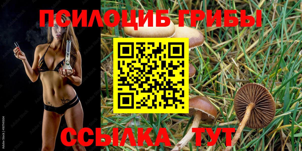Галлюциногенные грибы MAGIC MUSHROOMS Новозыбков