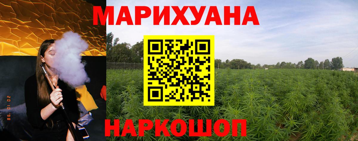 Шишки марихуана марихуана  Шишки марихуана план  Конопля семена  Вход с VPN  Новозыбков 